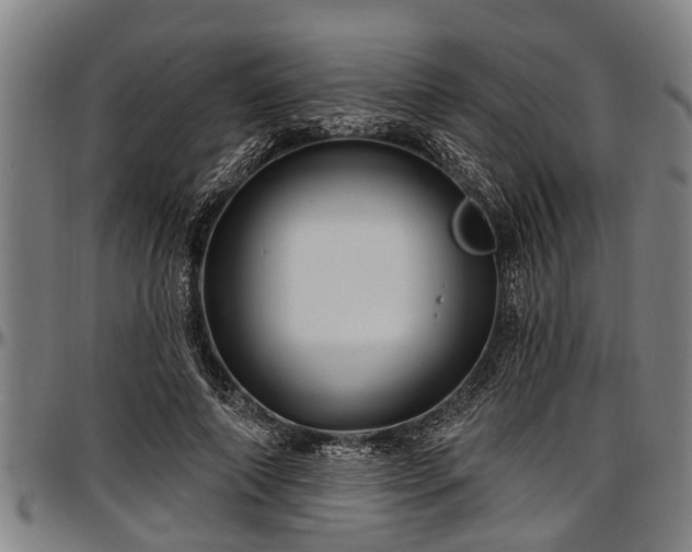 X0000097470690200802291311