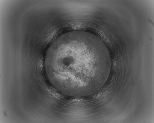 X0000097470691200802291311