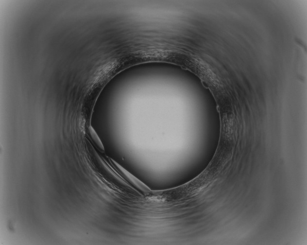 X0000097470692200802291311