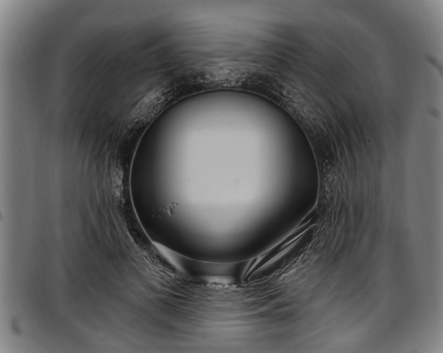 X0000097470693200802291311