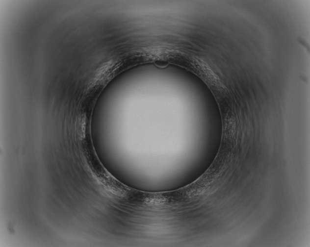 X0000097470694200802291311
