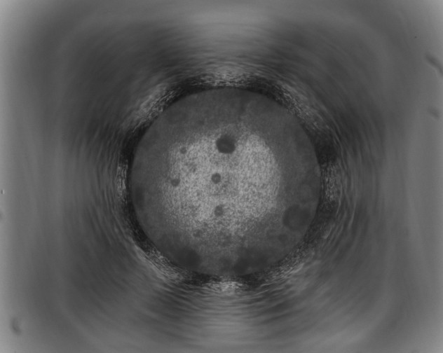 X0000097470695200802291311