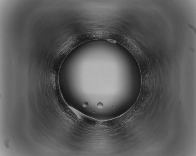 X0000097470696200802291311