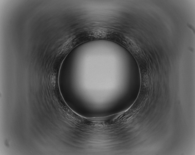 X0000097470697200802291311