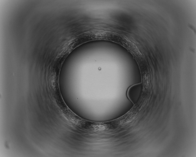 X0000097470698200802291311
