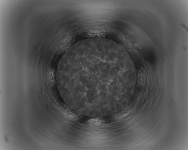X0000097470699200802291311
