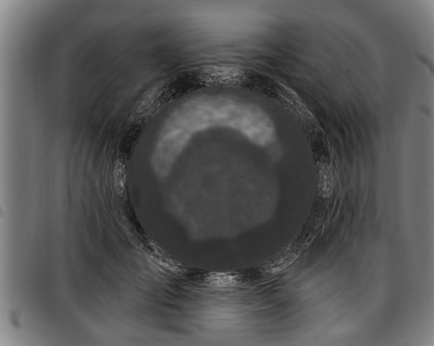 X0000097470701200802291311