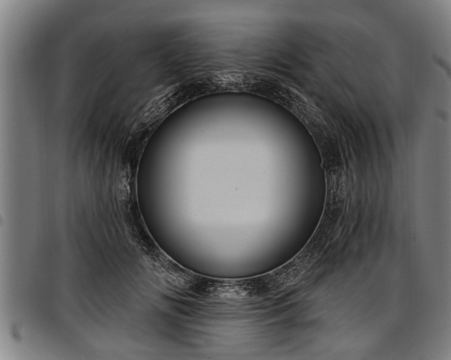 X0000097470702200802291311