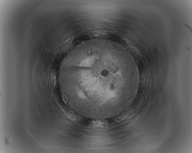 X0000097470703200802291311