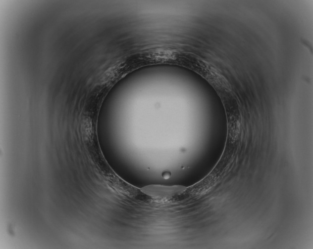 X0000097470704200802291311