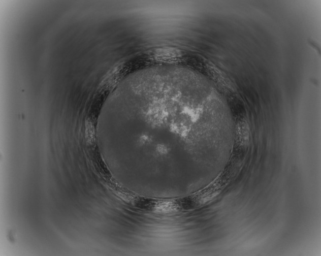 X0000097470705200802291311