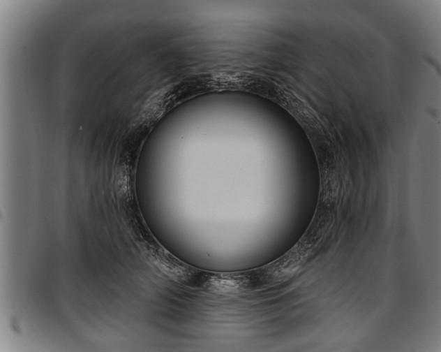 X0000097470706200802291311