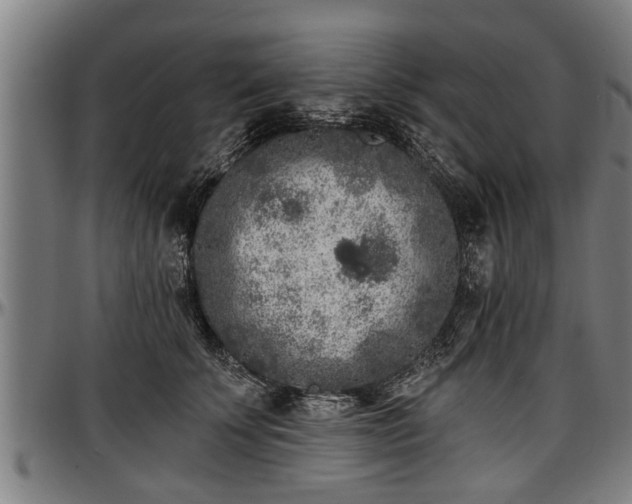 X0000097470707200802291311