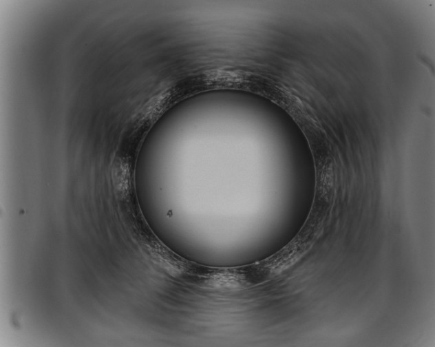 X0000097470708200802291311