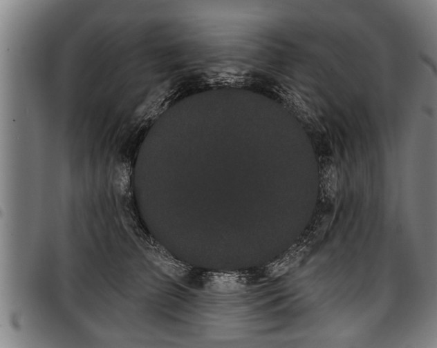 X0000097470709200802291311