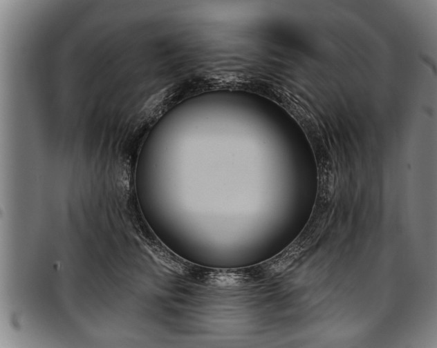 X0000097470710200802291311