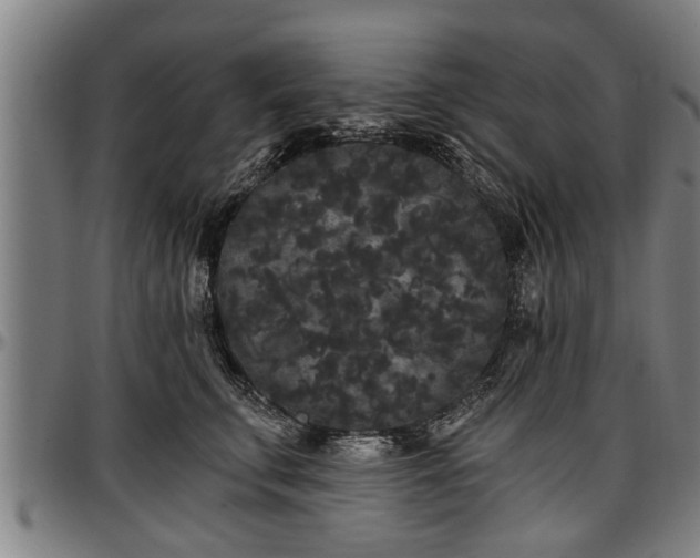 X0000097470711200802291311
