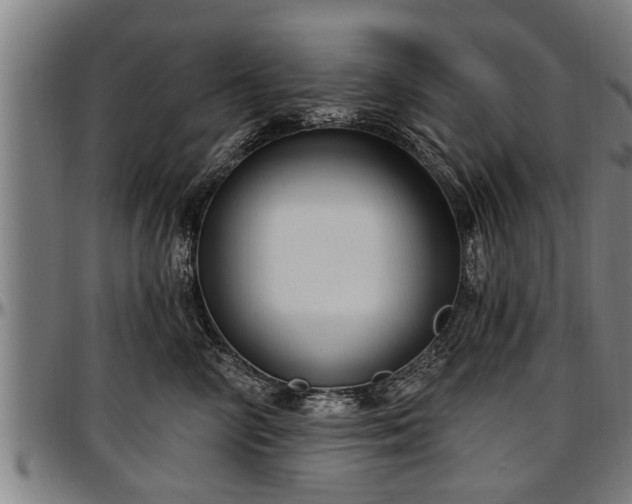 X0000097470714200802291311