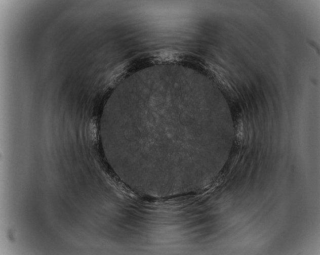 X0000097470715200802291311
