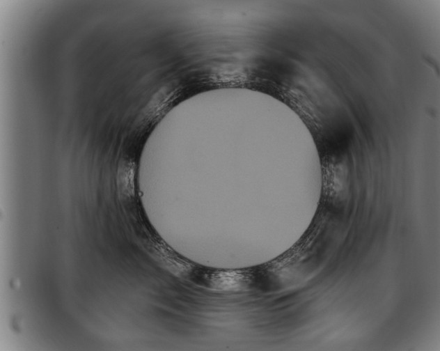 X0000097470717200802291311