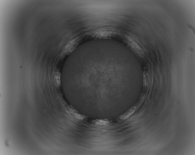 X0000097470718200802291311
