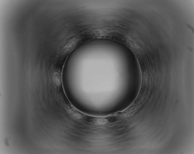 X0000097470719200802291311