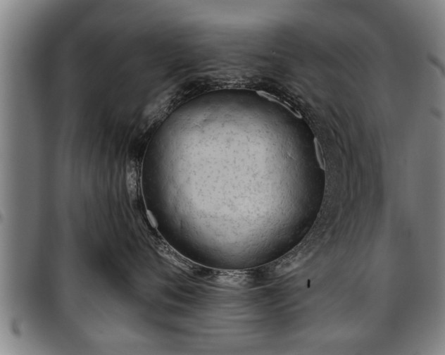 X0000097470720200802291311