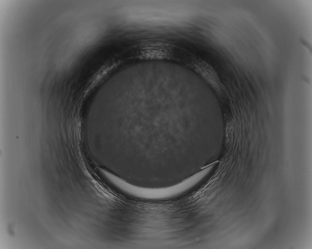 X0000097470722200802291310