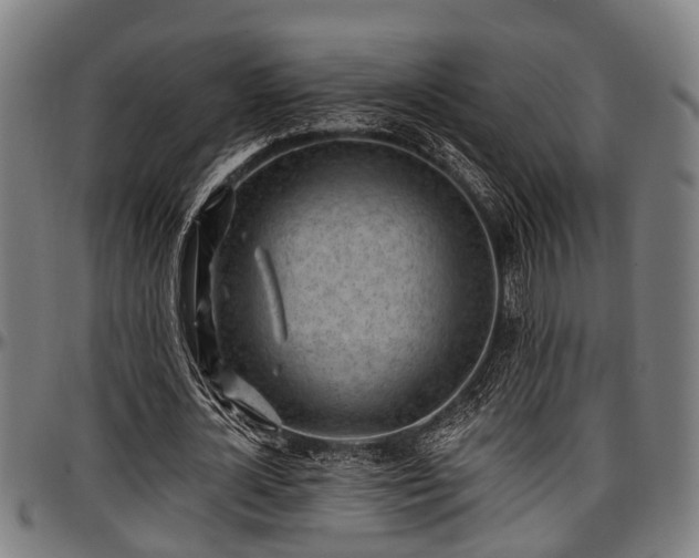X0000097470724200802291310