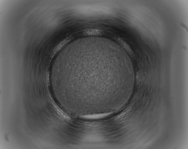 X0000097470725200802291310