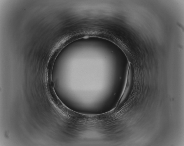 X0000097470726200802291310