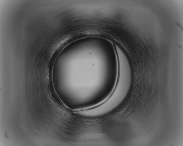X0000097470727200802291310