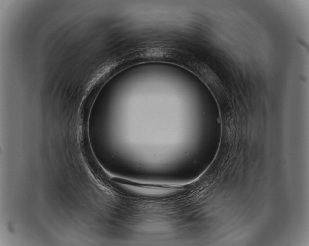 X0000097470728200802291310