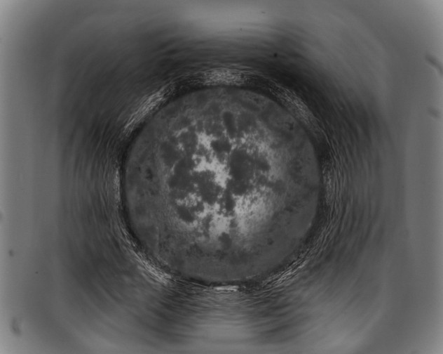 X0000097470729200802291310
