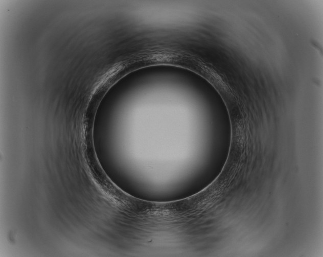 X0000097470730200802291310