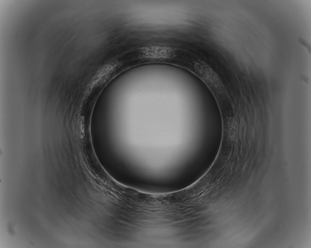 X0000097470731200802291310