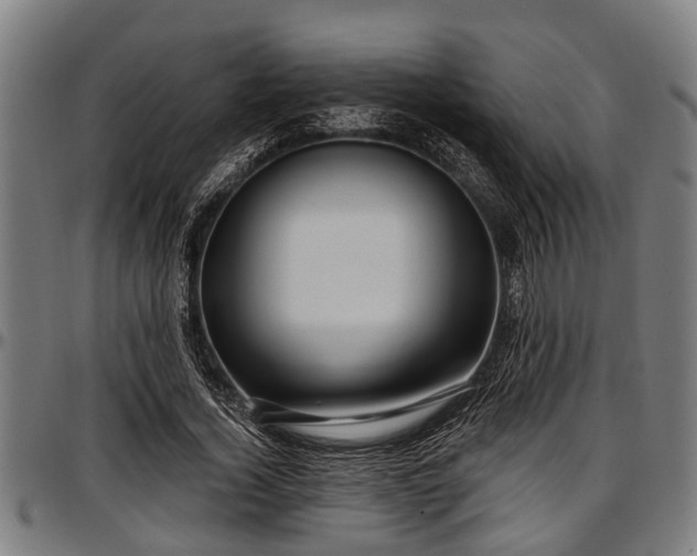 X0000097470732200802291310