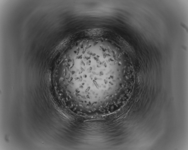 X0000097470733200802291310