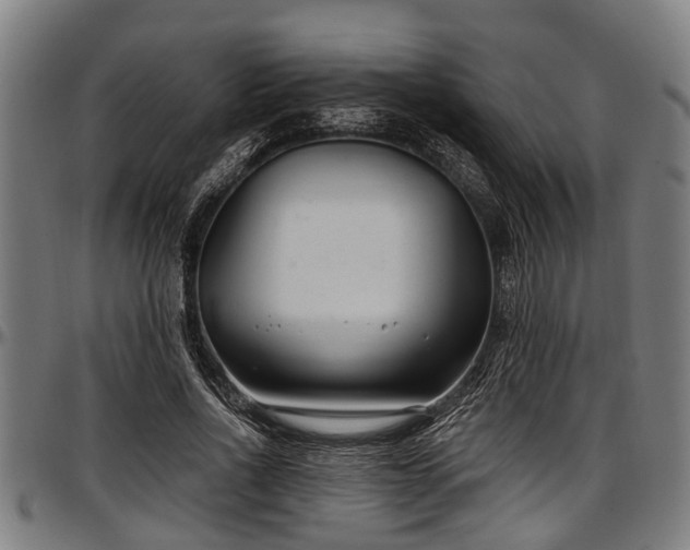 X0000097470734200802291310