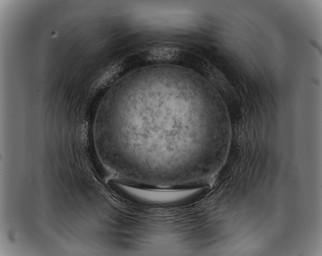 X0000097470735200802291310