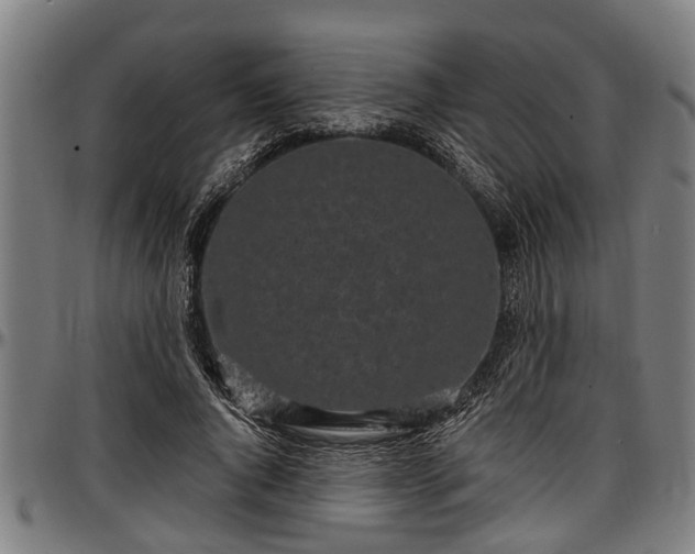 X0000097470736200802291310