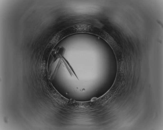 X0000097470737200802291310