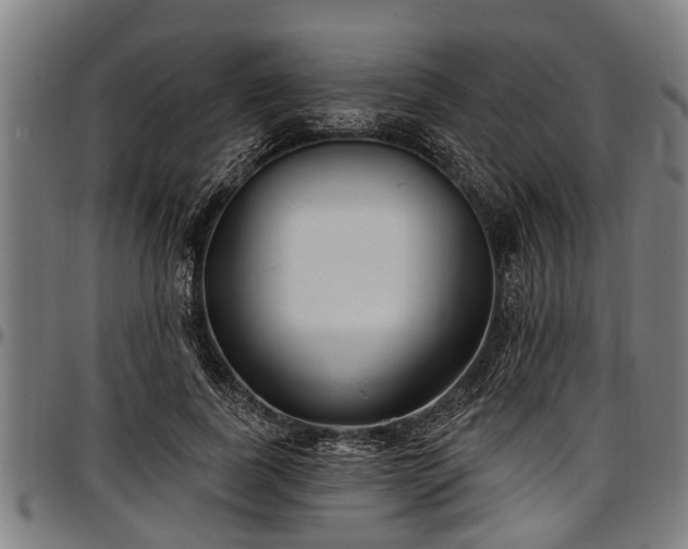 X0000097470739200802291310
