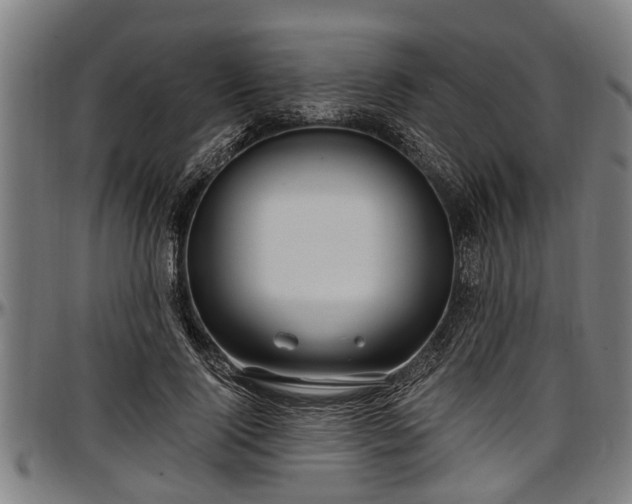 X0000097470740200802291310