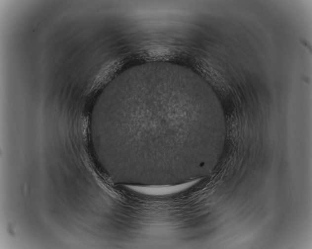 X0000097470742200802291310