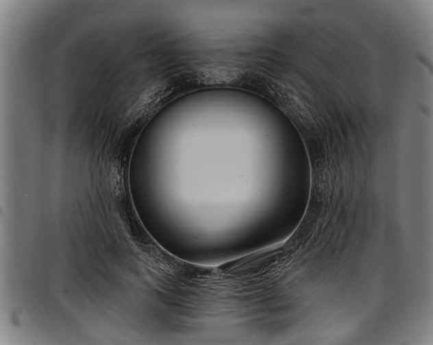 X0000097470743200802291310