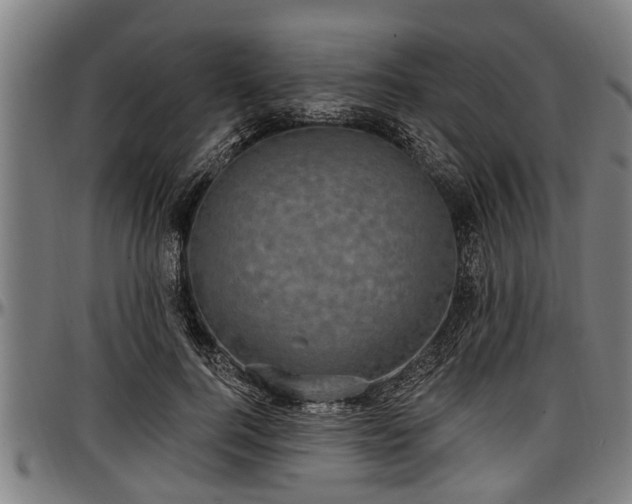 X0000097470744200802291310