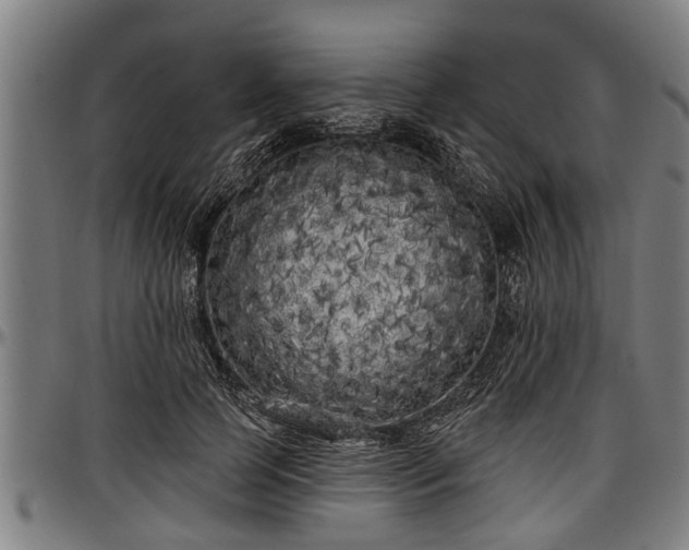 X0000097470745200802291310