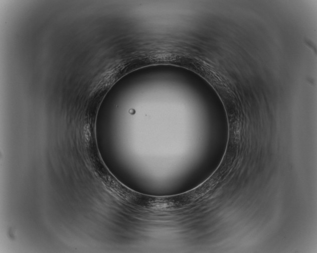 X0000097470746200802291310