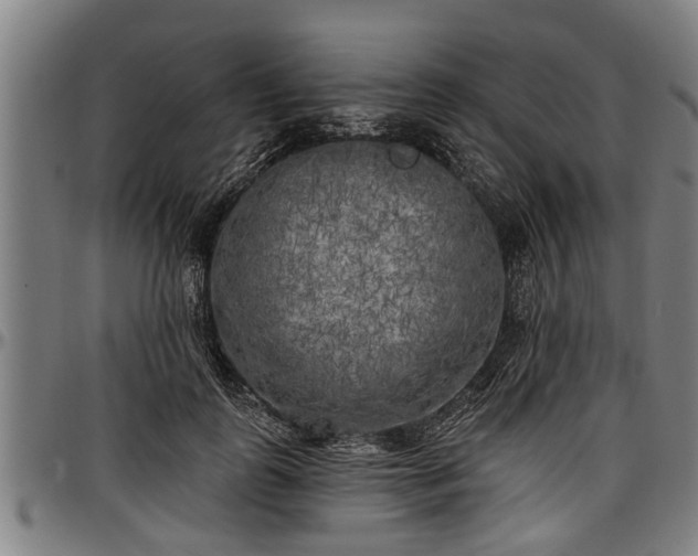 X0000097470747200802291310